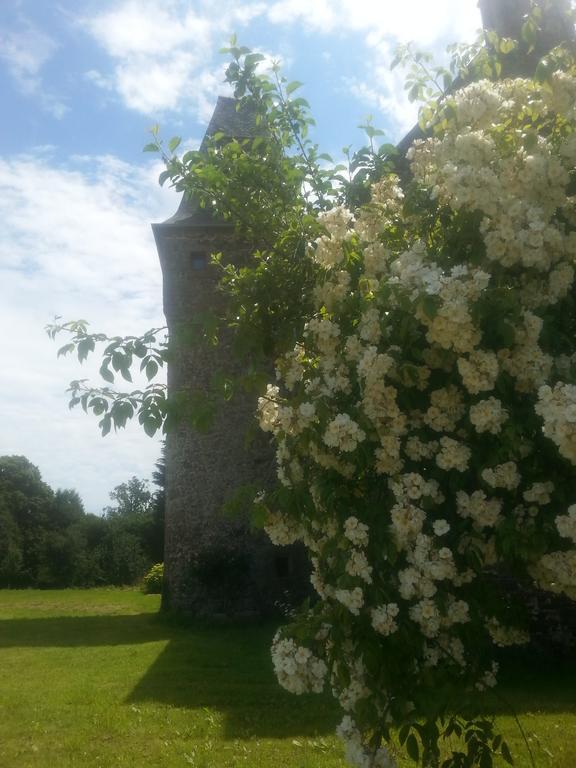 Manoir De La Branche Bed & Breakfast Maen Roch Bagian luar foto