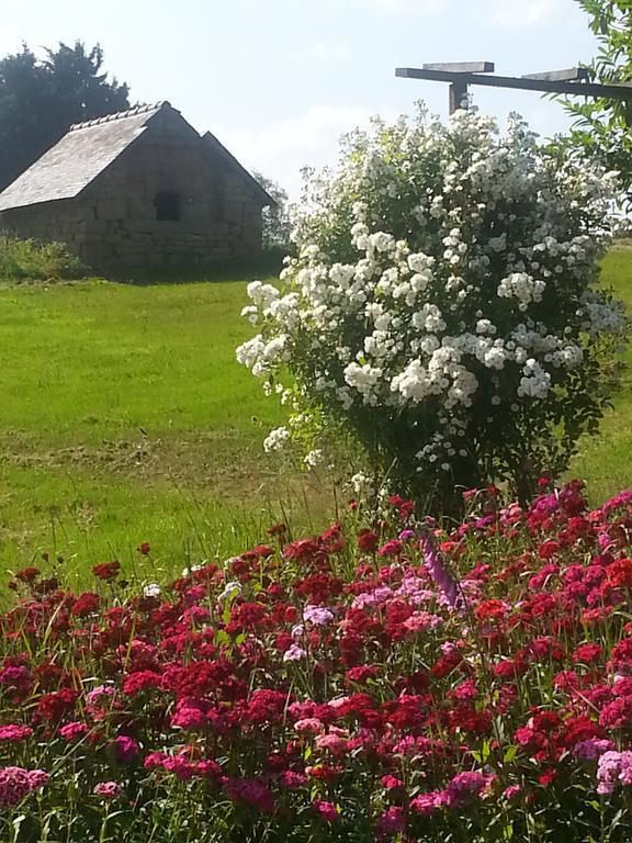 Manoir De La Branche Bed & Breakfast Maen Roch Bagian luar foto