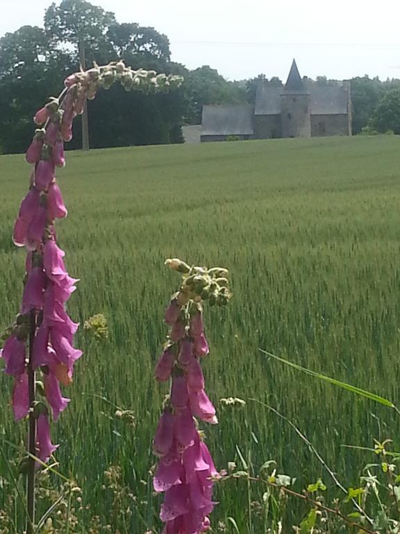 Manoir De La Branche Bed & Breakfast Maen Roch Bagian luar foto