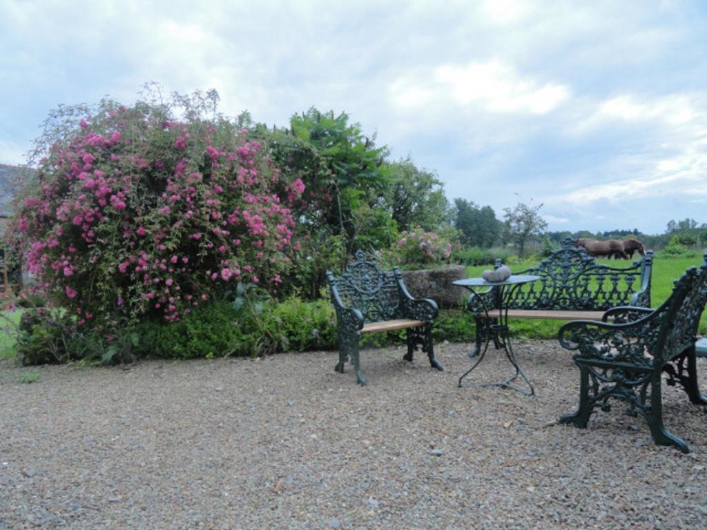 Manoir De La Branche Bed & Breakfast Maen Roch Bagian luar foto