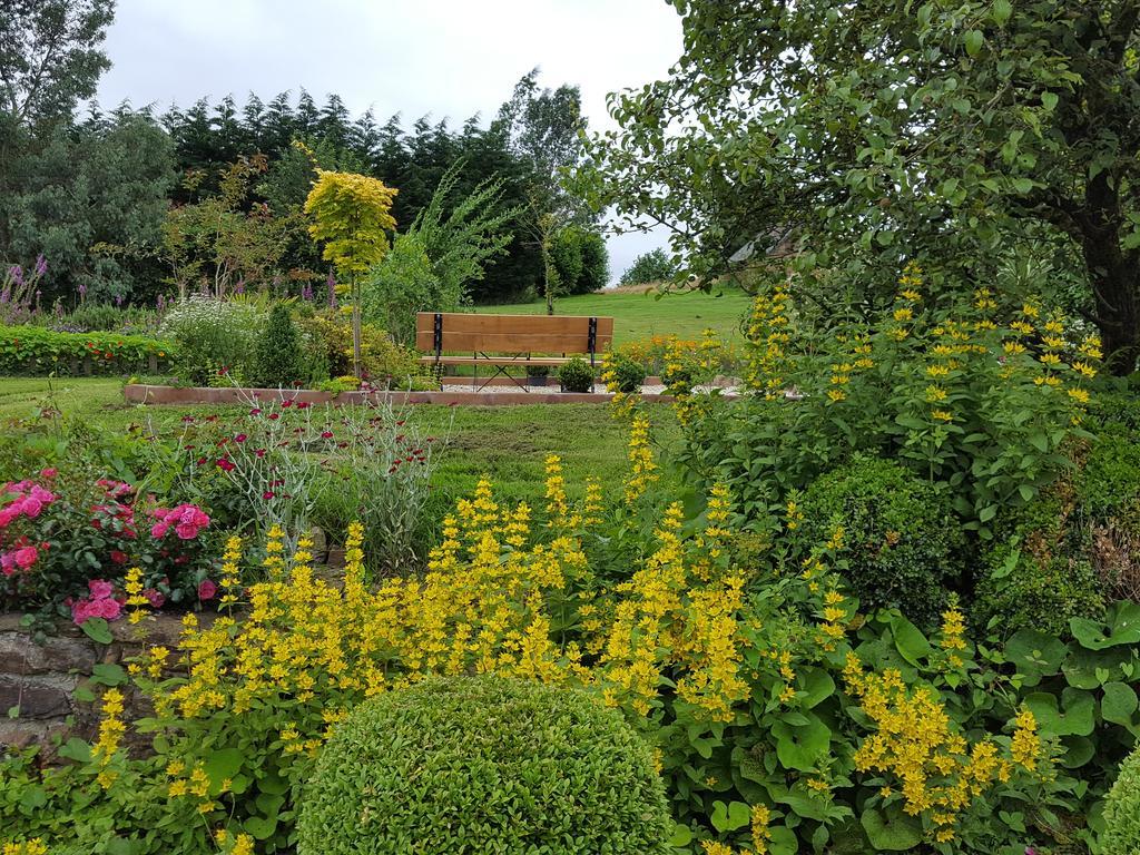 Manoir De La Branche Bed & Breakfast Maen Roch Bagian luar foto