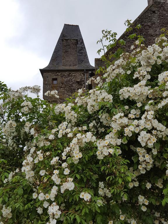 Manoir De La Branche Bed & Breakfast Maen Roch Bagian luar foto