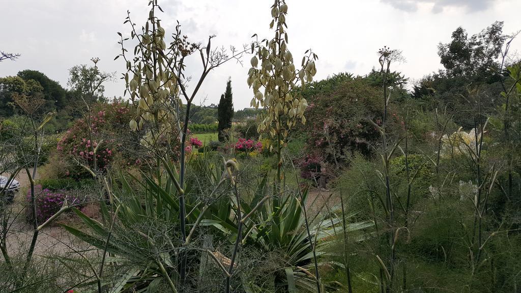 Manoir De La Branche Bed & Breakfast Maen Roch Bagian luar foto