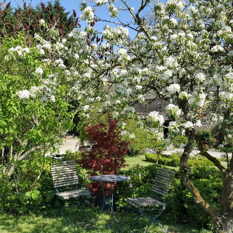 Manoir De La Branche Bed & Breakfast Maen Roch Bagian luar foto